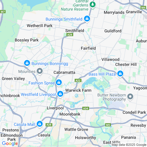 Professionals Cabramatta location